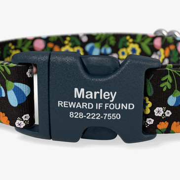 Buckle personalized